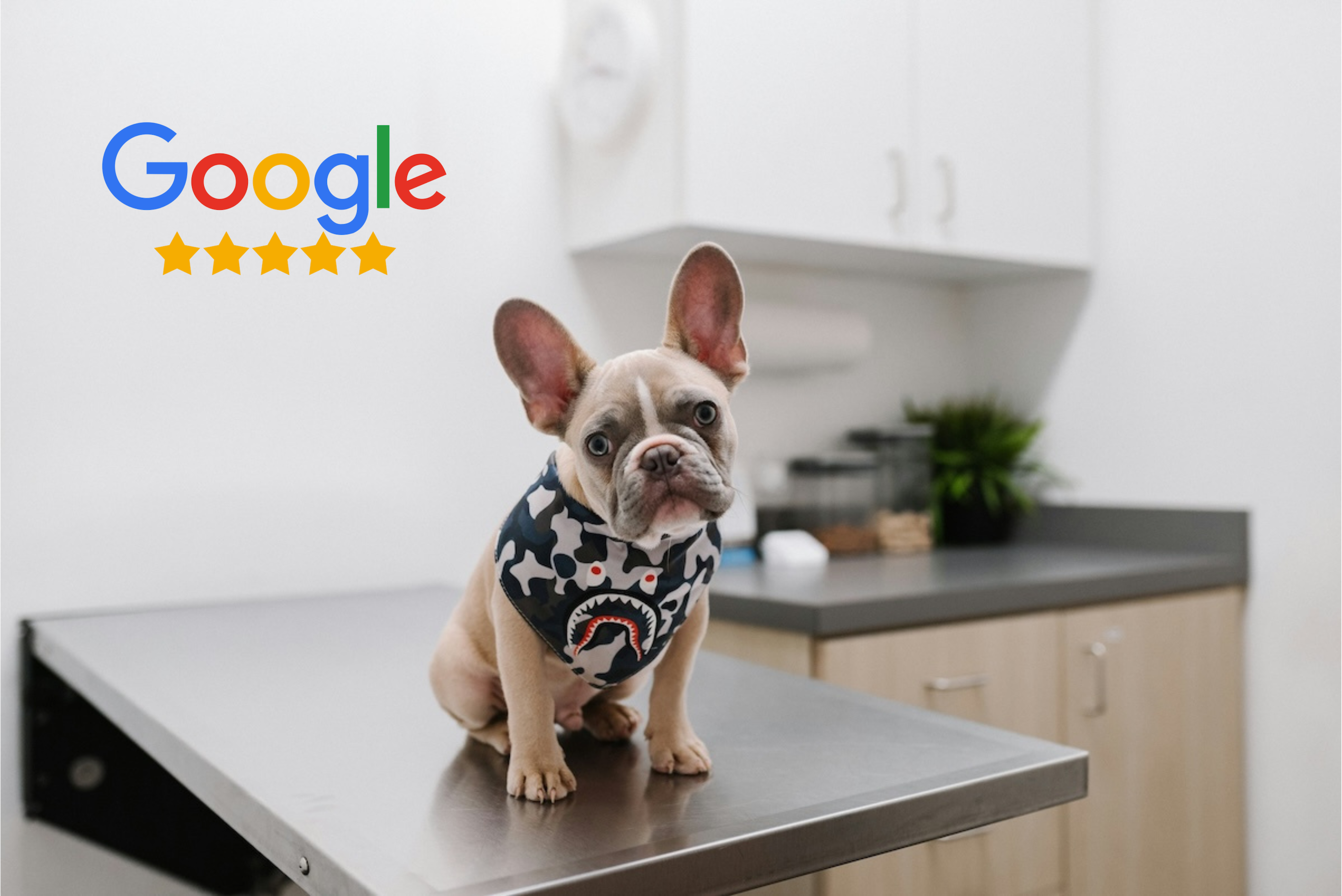 Google Reviews automatisiert anfragen und beobachten