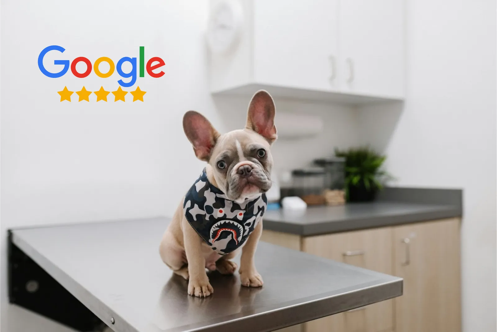 Google Reviews automatisiert anfragen und beobachten